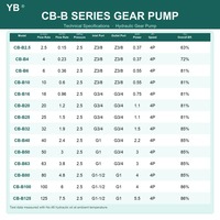 Tête de pompe à engrenages CB B 80, 80 LPM, 2,5 Mpa, en fonte, pour lubrification de machines-outils, sans moteur, pour constructeurs de machines