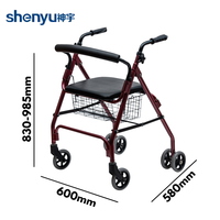 2024 Nouveau Design Rollator léger facile à utiliser marcheur pliable