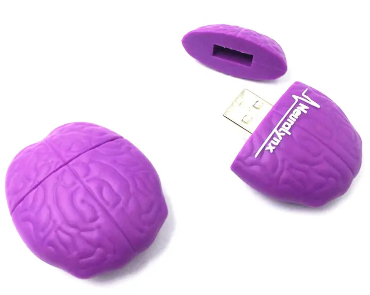 Brain usb flash drive,human organ shaped usb Custom Brain USB Stick 2.0 for Promotion