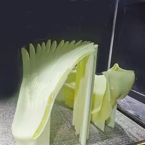 Servizio di prototipo di nylon della resina dell'abs del modello del prototipo di CNC di stampa 3D di progettazione industriale della fabbrica dell'oem