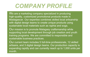 Bolsos Tote Premium Hechos a Mano Artesanalmente en Madagascar, Estilo Urbano Simple para Uso Diario, Compras y Ocio - Product Image 5