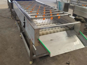 Machine à laver les fruits et légumes robuste et professionnelle de 800 kg/h pour les cultures souterraines - Product Image 3