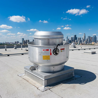 Anpassbare Elektrische Geräuscharme Langlebige Edelstahl-Dachventilatoren mit Kugellager-Kunststoffblättern 16 Zoll 110V/220V OEM/ODM