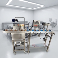 Machine à enrober et à glacer les gâteaux au chocolat multifonctionnelle à haute efficacité, en acier inoxydable 304, avec une capacité de 2 m/minute