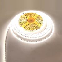 Bande lumineuse LED blanc chaud 3000K 2835, 120 LED/m, DC12V/24V, rouleau de 5m, idéale pour le plafond du salon