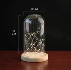 Base de couverture en verre de fleurs séchées avec boîte d'affichage de lumière dôme en verre de poussière de lumière fait à la main modèle de verre lumineux couvercle en verre lumineux - Product Image 4