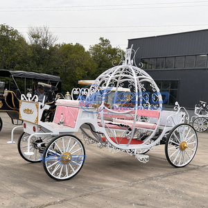 Gemotoriseerde Cinderella Prinses Pompoen Paardenkoets Met Wit Lichaam En Roze Stoel Luxe Bruiloft Paard Koets Te Koop - Product Image 2