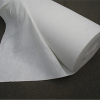 Poinçons à aiguille en polyester écologique, 10 pièces, tissu en feutre, rembourrage, coton