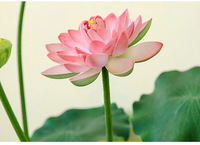 Prix de gros Lotus Real Touch Jolie Fleur Artificielle Nénuphar Simulation Décoration