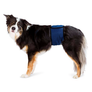 Banda Abdominal para Perros Machos M 4555 cm Azul Oscuro Pañal para Mascotas - Product Image 3