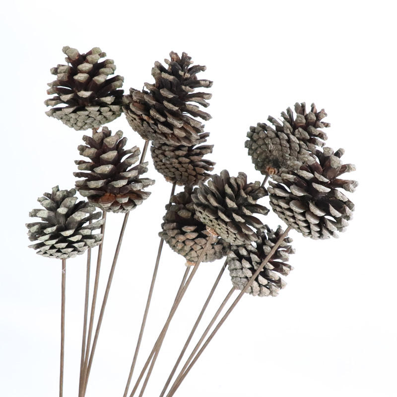 批发干花装饰松果独特的ins风格婚纱墙装饰家居布置 - buy pinecones