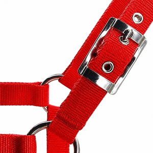 <span class=keywords><strong>Capezza</strong></span> per Cavalli Regolabile in Nylon Rinforzato, Resistente, per Addestramento Equestre - Product Image 3