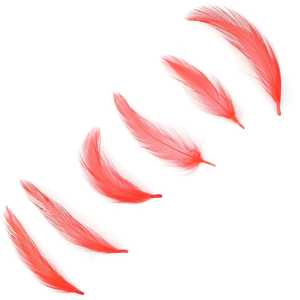 Teint rouge lâche Hackle poulet <span class=keywords><strong>coq</strong></span> <span class=keywords><strong>plume</strong></span> <span class=keywords><strong>pour</strong></span> artisanat bricolage mouche attachant carnaval <span class=keywords><strong>cheveux</strong></span> boucle d'oreille accessoire robes couture - Product Image 1