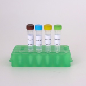 Kit <span class=keywords><strong>de</strong></span> 50 reacciones del virus <span class=keywords><strong>de</strong></span> la leucosis aviar qRT-PCR (sonda FAM) | Pruebas <span class=keywords><strong>de</strong></span> aves <span class=keywords><strong>de</strong></span> corral - Product Image 2