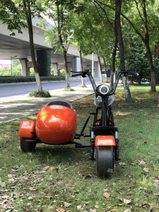 Triciclo Eléctrico para Turismo, Motocicleta Eléctrica para Adultos, Triciclo Eléctrico Portátil, Triciclo Eléctrico para Personas con Discapacidad - Product Image 6