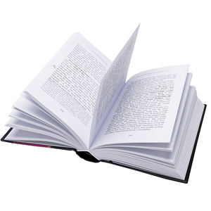 Servicio de Impresión OEM, Libro de Tapa Dura Personalizado, Impresión de Libros de Historietas Gráficas de Tapa Dura - Product Image 2