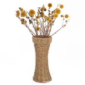 <span class=keywords><strong>Echinops</strong></span> Secos y Preservados al por Mayor para Decoración de Ramos de Flores, Globos de Flores Secas, Cardos - Product Image 3
