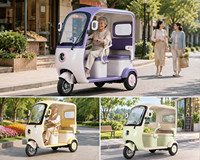 Tricycle électrique pour adultes 650W, populaire, multicolore, compact, facile à stationner, avec auvent contre le vent et la pluie, idéal pour les routes étroites