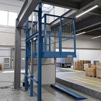 Monte-charge hydraulique à chaîne sur rail de guidage 220V 500kg, télécommande électrique, capacité 10m, certifié CE, modèle de levage SJD
