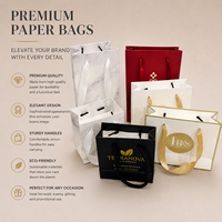 Sac cadeau de luxe en papier kraft avec logo en feuille d'or gaufrée et emballage personnalisé pour bijoux