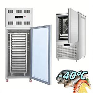 Congélateur rapide tunnel IQF extérieur avec compresseurs et évaporateurs, capacités de 5, 2, 1 TONNE, 500 kg, 300 kg, 1000 kg/h pour viande et crevettes - Product Image 1