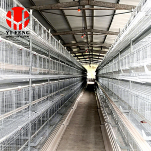 Un nouveau type <span class=keywords><strong>de</strong></span> système <span class=keywords><strong>de</strong></span> cages à poules pour poules pondeuses, un système automatique d'alimentation et <span class=keywords><strong>de</strong></span> nettoyage multi-niveaux qui permet <span class=keywords><strong>de</strong></span> gagner <span class=keywords><strong>de</strong></span> l'espace - Product Image 2