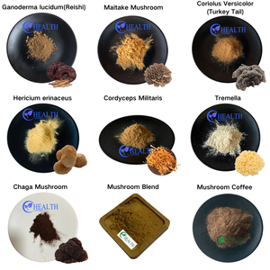 Polvo Puro de Champiñones Porcini Sin Aditivos, Conserva el Aroma Natural del Champiñón, Perfecto para Líneas de Productos Superalimentos Premium - Product Image 4