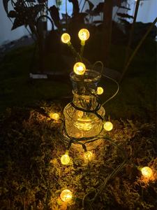 Star Global Fairy <strong>Lights</strong> Drive <strong>Plug</strong> <strong>in</strong> 53ft 110V 120V LED String <strong>Lights</strong> Warm White for Wedding Party Garden Christmas Decor - Product Image 5