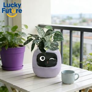 Jardinière Intelligente pour Animaux de Compagnie <span class=keywords><strong>Robert</strong></span> avec Surveillance des Plantes en Temps Réel pour une Utilisation en Intérieur <span class=keywords><strong>et</strong></span> sur Balcon - Product Image 1