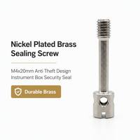 Vis de scellement anti-effraction en laiton nickelé M4x20mm à quatre trous à fente croisée pour la gestion des scellés de compteurs électriques
