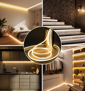 Tube néon flexible haute tension monocolore 50M 8*16mm IP67 résistant aux intempéries, bande LED néon, néon flexible 220V - Product Image 6