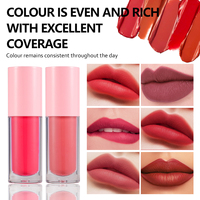 Produits de beauté, maquillage, rouge à lèvres liquide mat velours longue durée, luxe, rouge, végan, sur mesure, vente en gros, marque privée