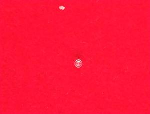 Sapphire Tổng Hợp Hoặc Ruby Orifice - Product Image 6