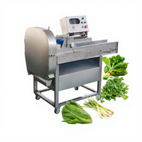 Cortadora de Vegetales de Hoja DAMATIC CE de Acero Inoxidable 304 CHD200, Máquina para Cortar Espinacas