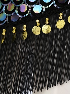 Trajes de Danza para Mujer, Falda de Danza del Vientre con Cordones, Pañuelo de Cintura con Flecos, Trajes de Danza para Espectáculos - Product Image 4