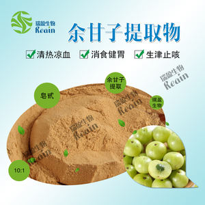 ผงสารสกัดจากผลไม้ Amla phyllanfhus สารสกัดจากผลไม้ fyllanthi 10:1สารสกัดจาก Phyllanthus emblica - Product Image 4