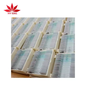 Típico Echinococcus granulosus <span class=keywords><strong>gusano</strong></span> adulto Microscopio Vidrio Enseñanza biológica Diapositivas preparadas - Product Image 3