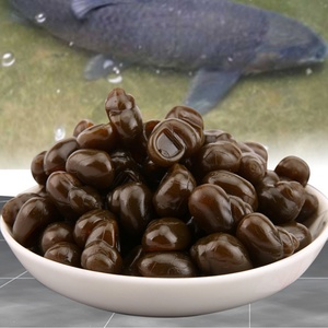 Leurre souple bionique en latex style <span class=keywords><strong>escargot</strong></span> <span class=keywords><strong>pour</strong></span> la pêche à la carpe noire et au tilapia bleu, coulant-flottant, sans hameçons, en bouteille - Product Image 5