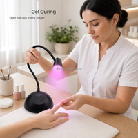 Lampe de séchage portable pour gel à ongles, lampe LED UV pour thérapie par la lumière, équipement de manucure, fournisseur d'équipements de beauté, lampe à ongles pour manucure à domicile