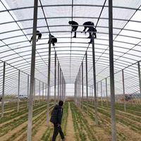 Séchoir agricole solaire à simple travée avec film PE pour le séchage des bananes
