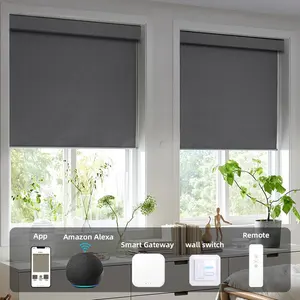 fantastic high quality hot sell new design roller blind smart roller blinds motorized automatic WIFi control roller blinds