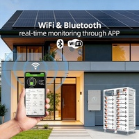 Sistem Penyimpanan Energi Baterai Surya LiFePO4 Deye 51.2V 100Ah High Cycle High Voltage untuk Rumah Tangga, Rak Terpasang, 15kWh 20kWh 30kWh