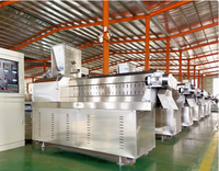 Ligne de production complète d'extrusion de rouleaux de riz, machine de soufflage à double vis pour les snacks Migima