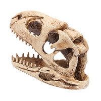 T-Rex Crâne Dinosaure Résine Artisanat Cadeaux Décor À La Maison Réplique Fish Tank Statue Tyrannosaure Crâne Squelette Aquarium Décoration