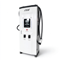 Prix d'usine – Station de recharge rapide DC extérieure CCS2 Chademo pour véhicules électriques 80kW-320kW OCPP 1.6 IP54 – Chargeur commercial sur pied
