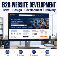Diseño y Desarrollo de Sitios Web Personalizados para Compras al por Mayor B2B con Sistema de RFQ, Precios por Niveles y Pedidos al por Mayor
