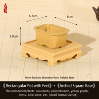 Molde para Macetas de Suculentas, Mini Macetas de Resina para Suculentas y Bonsáis, Diseño Simple, Múltiples Orificios de Drenaje para Interiores - Venta Directa de Fábrica