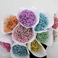 Fleurs séchées de gypsophile naturelles préservées couleur personnalisée, tige de 55-60 cm, pour la Fête des Mères, cadeau de vacances, fourniture de matières premières pour fleuristes