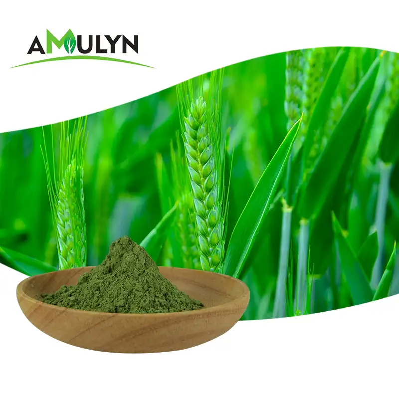 Barley Grass Juice Extract Powder Powder 100% Organic Natural Green Wheat Barley Grass Juice Extract Powder