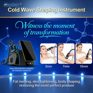 Máquina de Rejuvenecimiento de la Piel con Tecnología Vertical Pro Cold Wave ABS al Mejor Precio, para Lifting Facial y Pérdida de Peso Corporal - Product Image 1